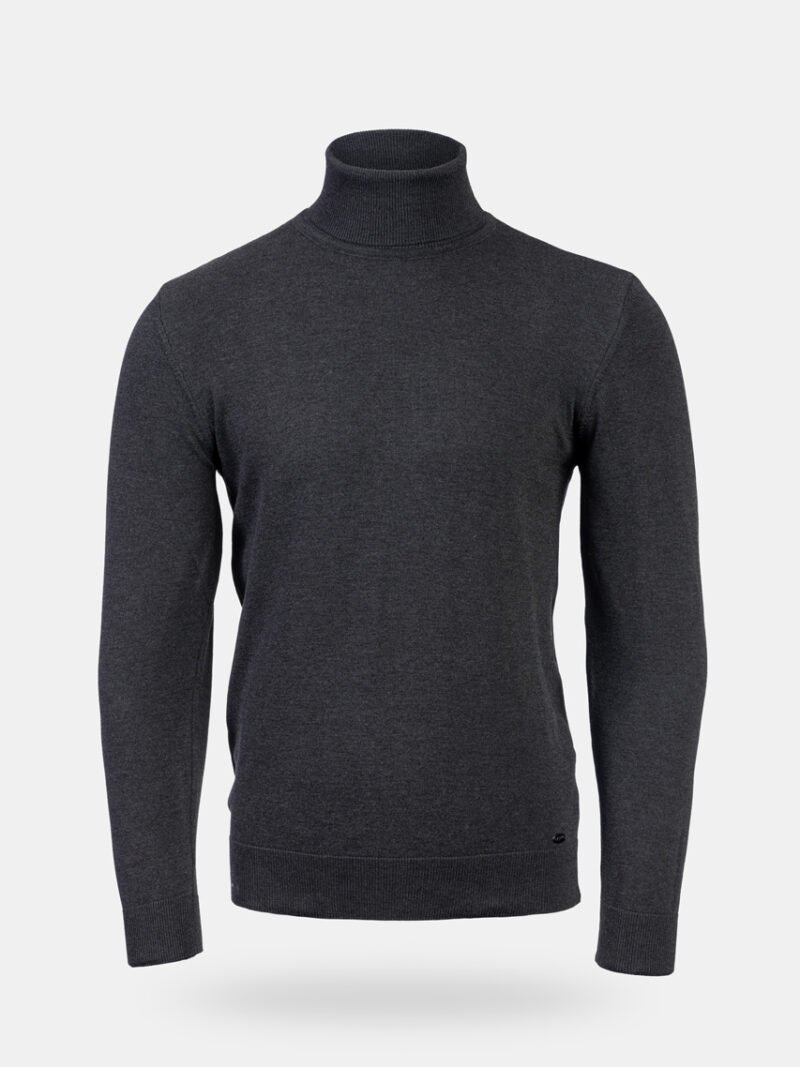 Tom roll neck