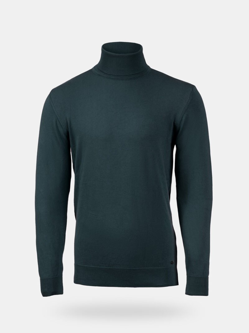 Tom roll neck